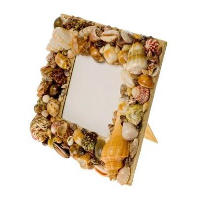 Sea Shell Wooden frame