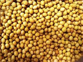 Soybean Seeds
