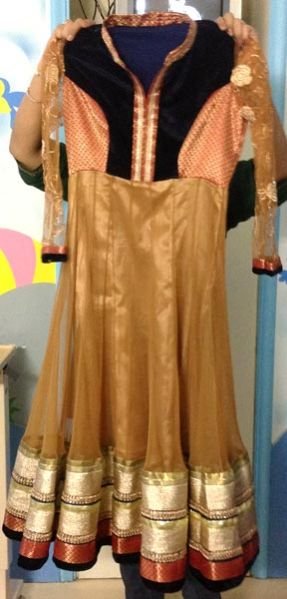 Long Anarkali Suit