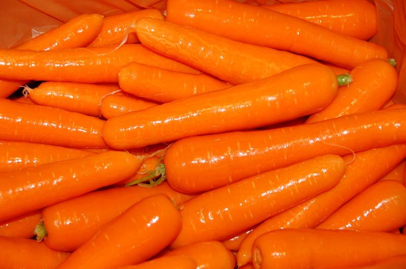 Fresh Ooty Carrots