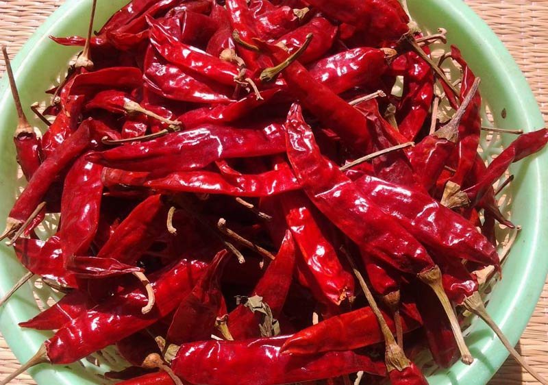 Red Chillies