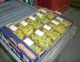 Agro Packaging Products