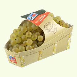 Agro Packaging Products