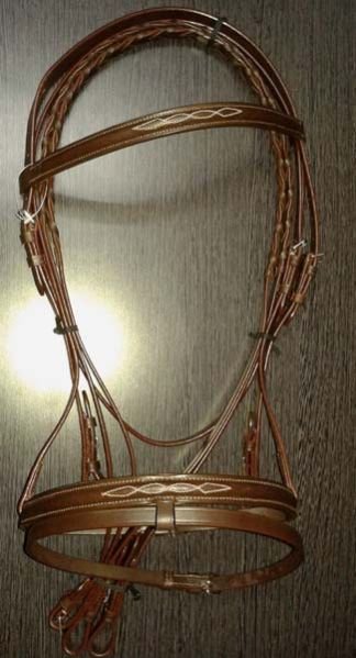 Horse Bridle 02