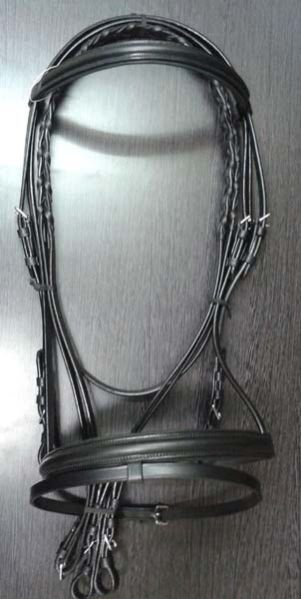 Horse Bridle 03