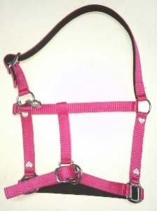 Horse Halter 02