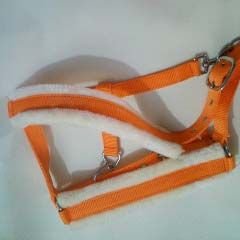 Horse Halter 03