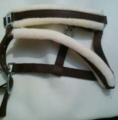 Horse Halter 04
