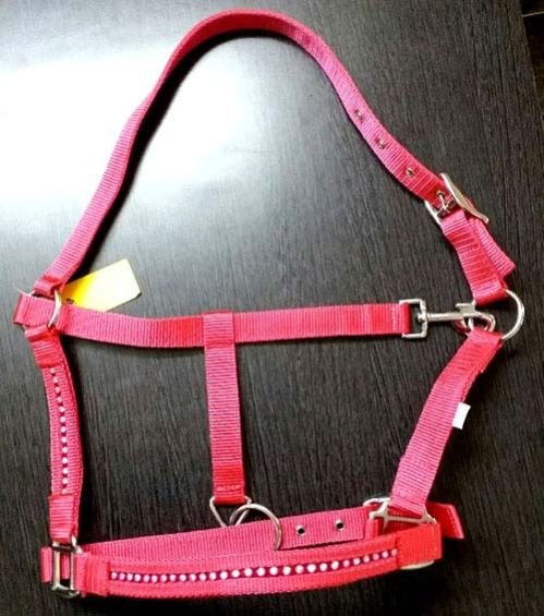 Horse Halter 05