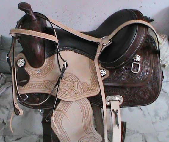 Horse Roper 02