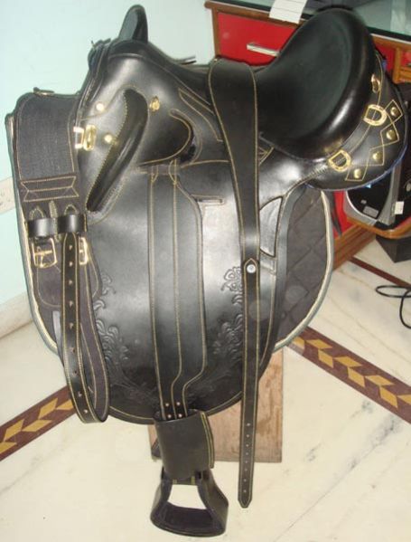 Stock Horse Saddle 04