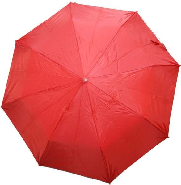 21 Inch Printed Ladies Umbrella (02)