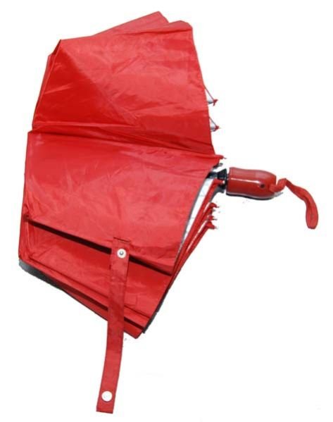 21 Inch Printed Ladies Umbrella (02)