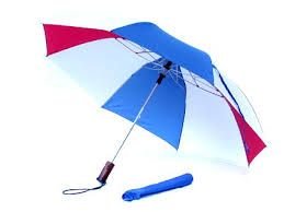 Buy Now 2 Fold Umbrella 01