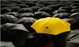 Promotional 2 Fold Umbrella 01