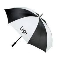 Promotional 2 Fold Umbrella 04