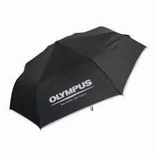 Promotional 2 Fold Umbrella 07