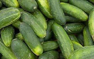 Cucumber