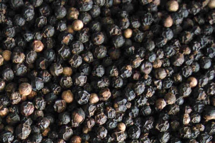 Black Pepper Seeds