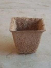 Coir Spanish Cups