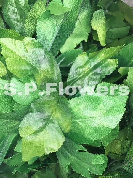 L10 Artificial Leaves