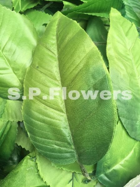 L11 Artificial Leaves
