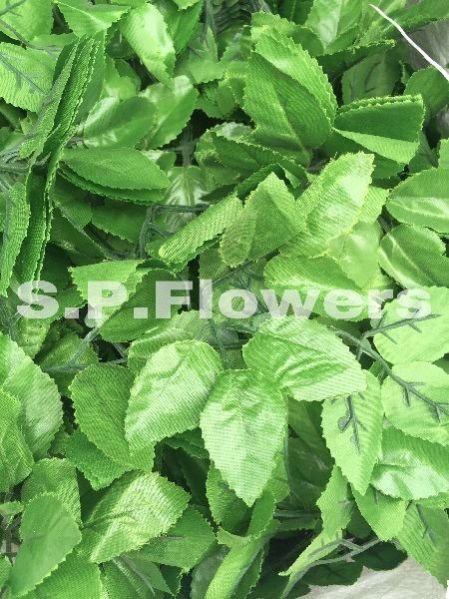 L12 Artificial Leaves