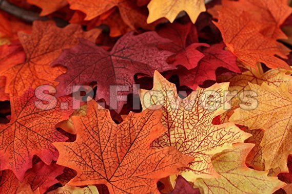 L16 Artificial Leaves