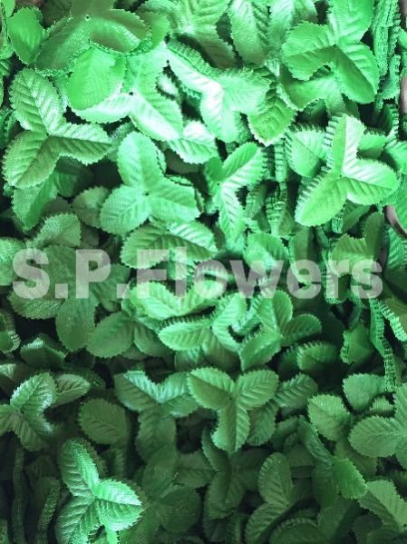 L3 Artificial Leaves