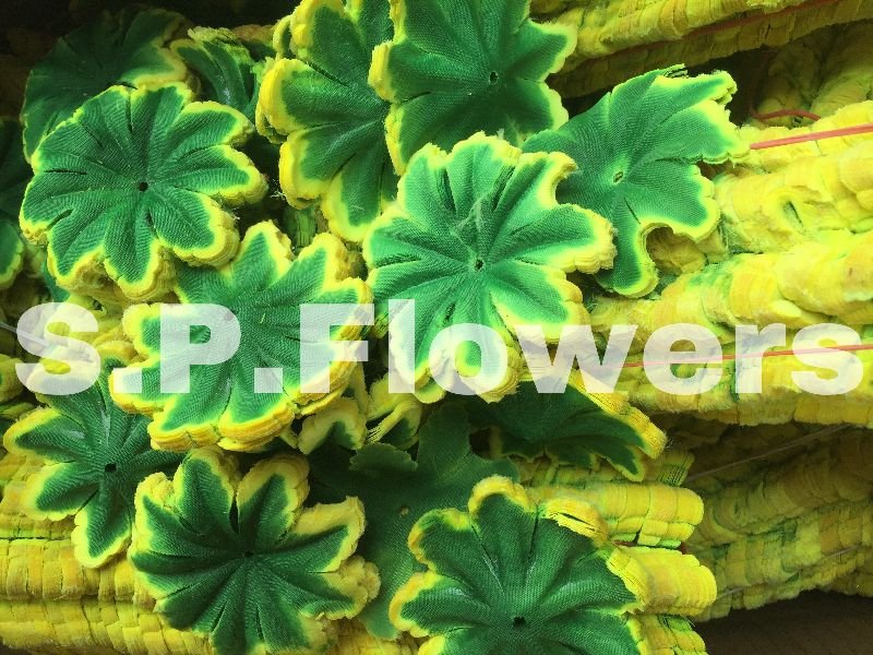 L6 Artificial Leaves