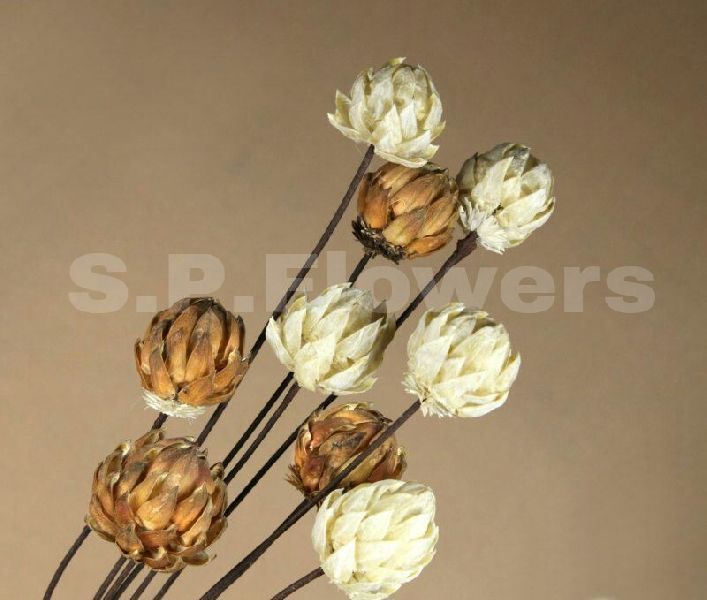 S12 Decorative Wooden Stick