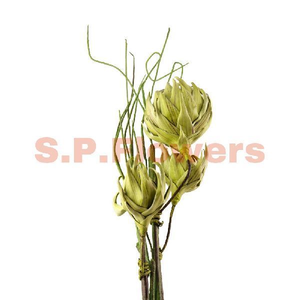 S24 Decorative Wooden Stick