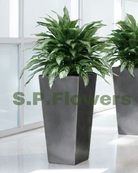 V54 Garden Vase & Pot