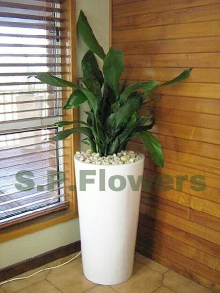 V78 Garden Vase & Pot