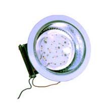 LED Down Light