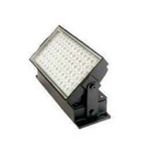 LED Flood Light