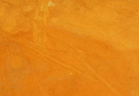 Jaisalmer Yellow Marble Slabs 01