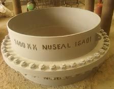 Insulating Flange Assembly