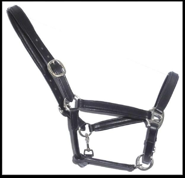 Leather Horse Halter (HLT-1201)