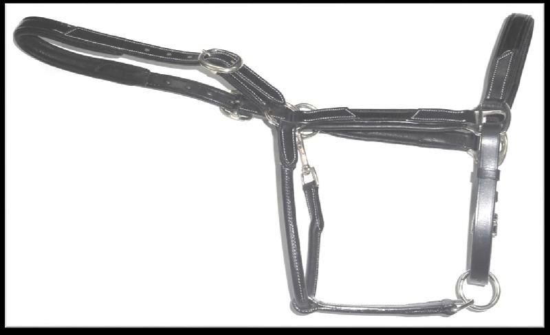 Leather Horse Halter (HLT-1202)