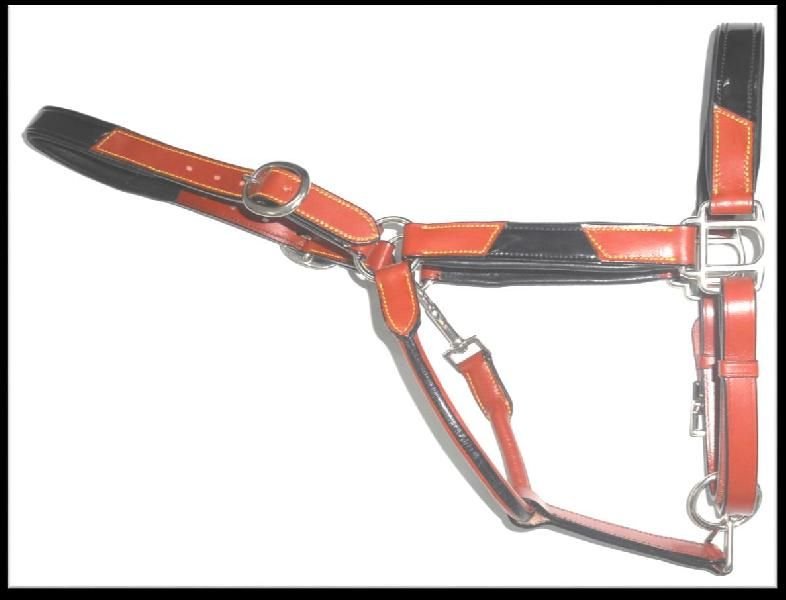 Leather Horse Halter (HLT-1203)