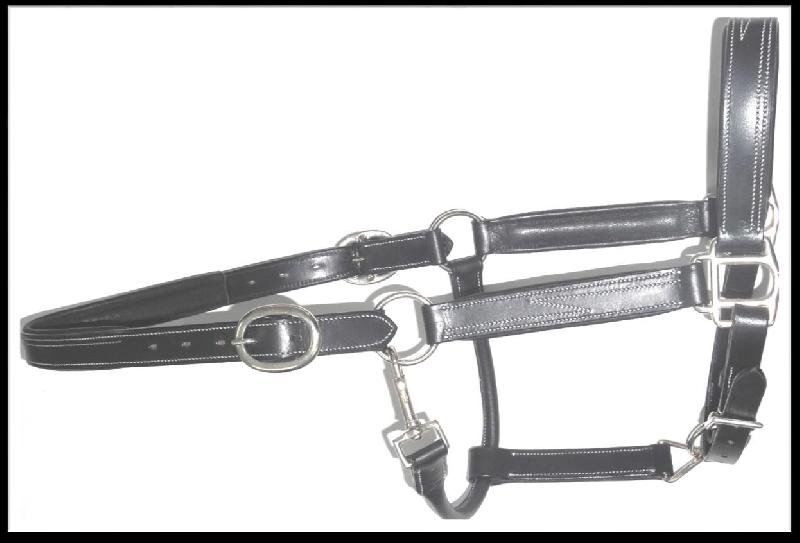 Leather Horse Halter (HLT-1204)