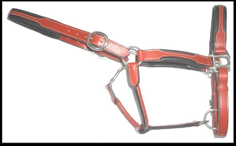 Leather Horse Halter (HLT-1205)