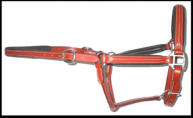 Leather Horse Halter (HLT-1208)