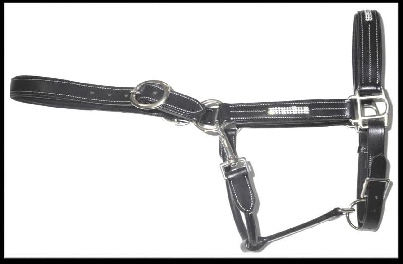 Leather Horse Halter (HLT-1209)