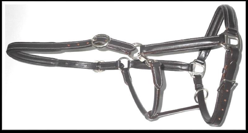 Leather Horse Halter (HLT-1210)