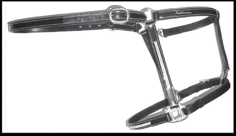 Leather Horse Halter (HLT-1211)