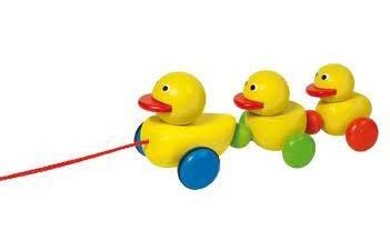 Kids Plastic Duck Rail