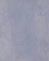 Gray Lalitpur Sandstone Slab