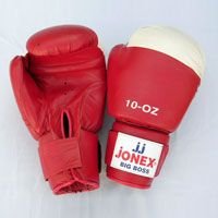 Boxing Gloves 10 Oz
